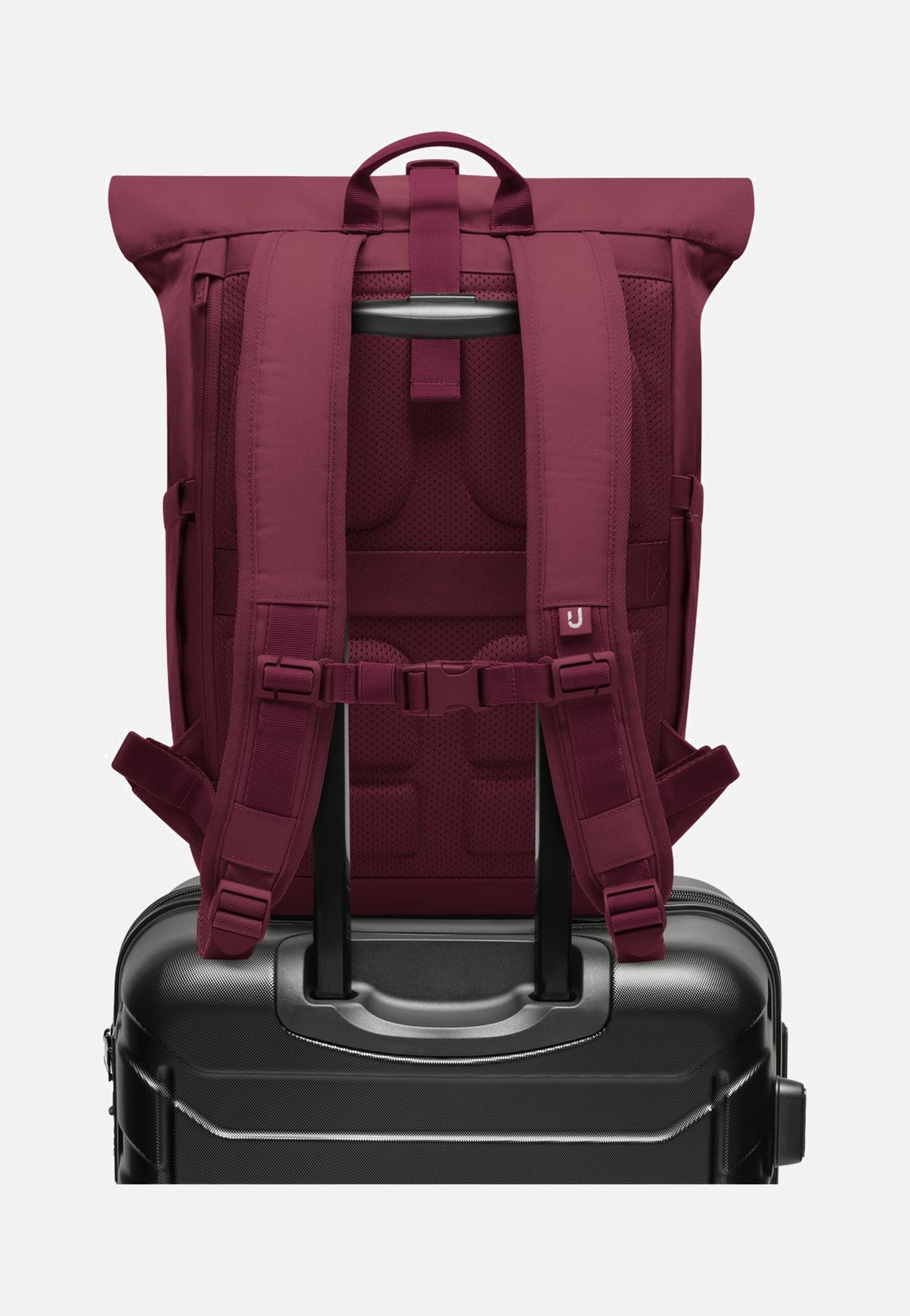 Johnny Urban Allen Large Burgundy Rolltop Rucksack