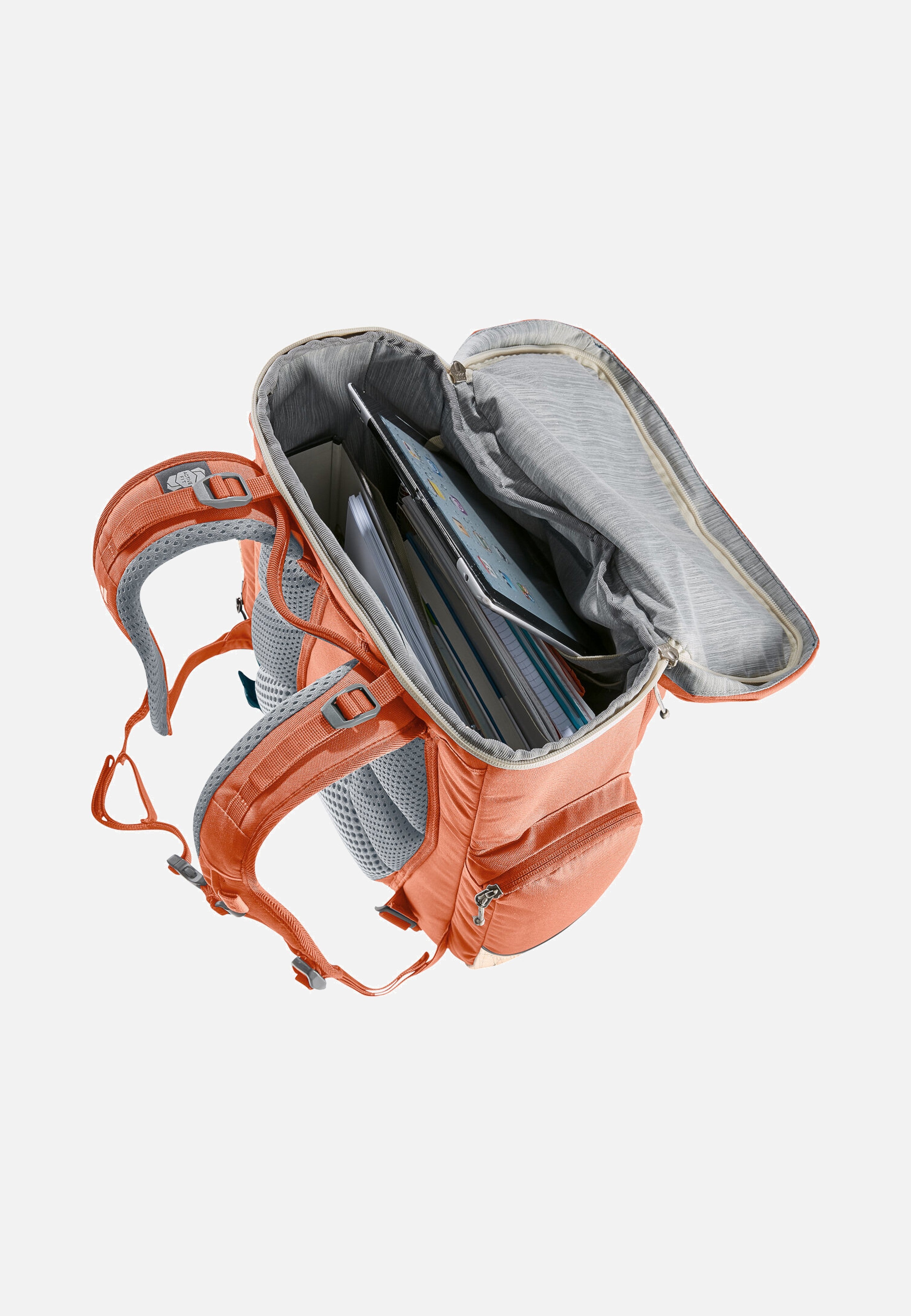 Deuter Scula Chestnut/Blush Rucksack