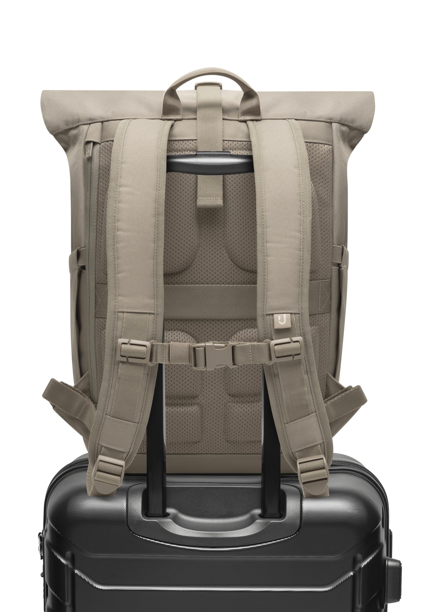 Johnny Urban Allen Large Desert Grey Rolltop Backpack