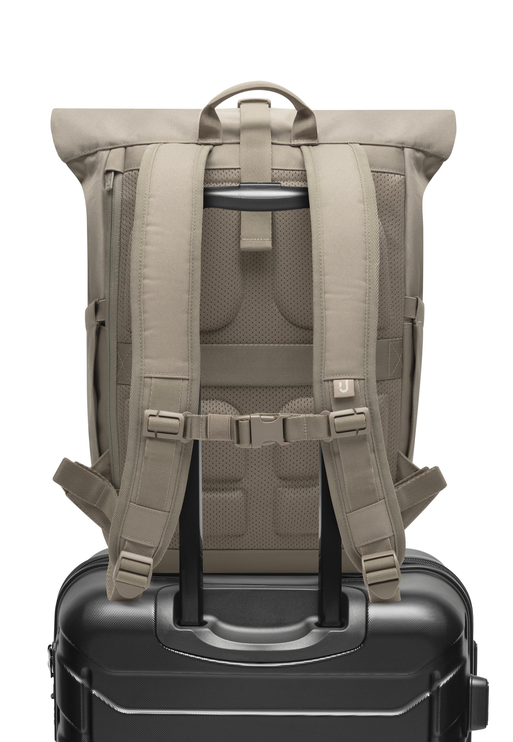 Johnny Urban Allen Medium Desert Grey Rolltop Backpack