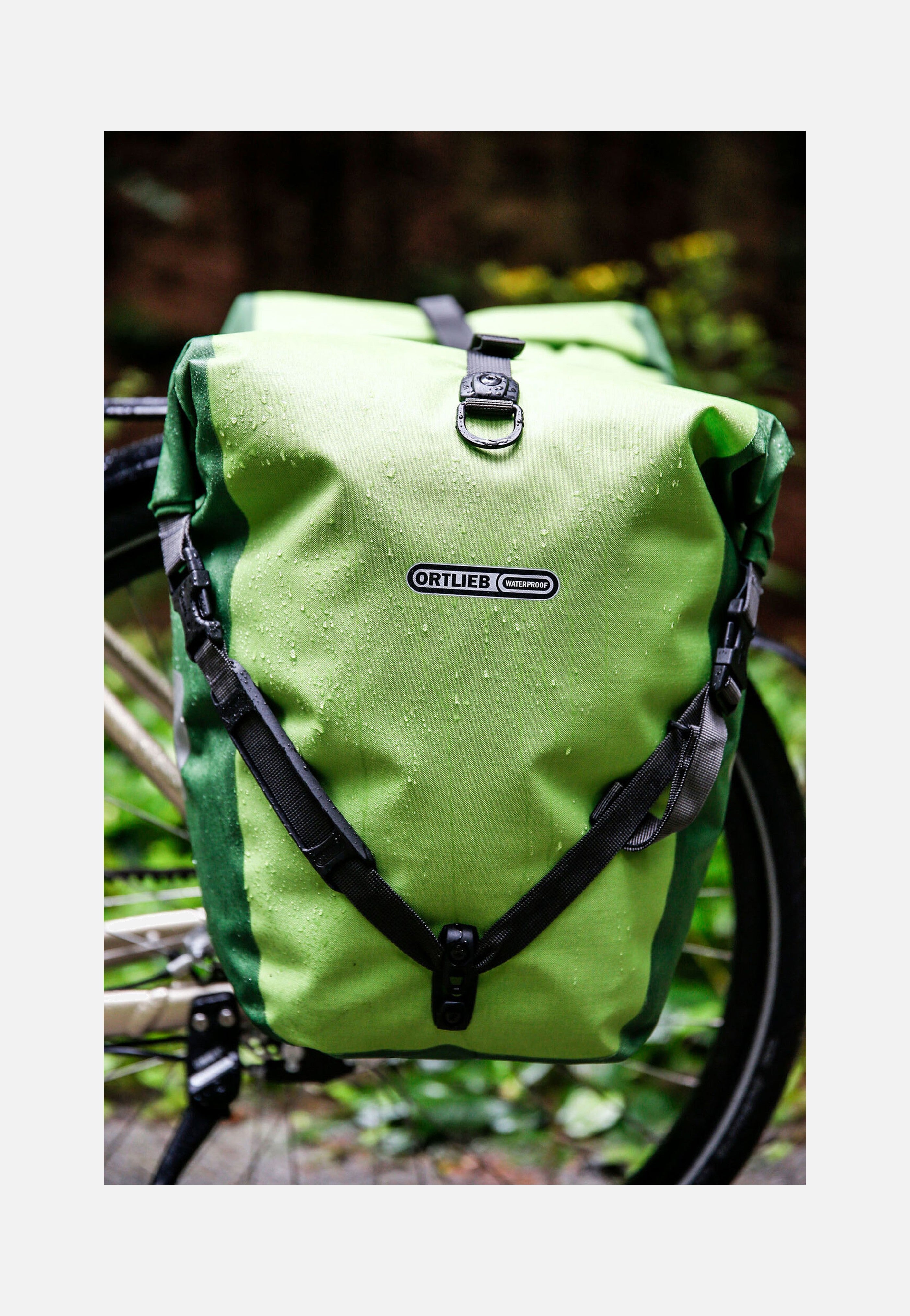 ORTLIEB Back-Roller Plus CR QL2.1 Kiwi Moss Green Fahrradtasche